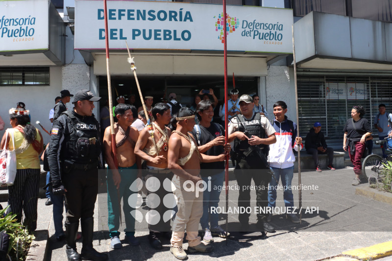 WAORANIS ACCION DE PROTECCION ELECCION PRESIDENTE