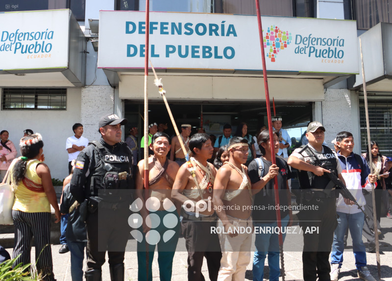 WAORANIS ACCION DE PROTECCION ELECCION PRESIDENTE