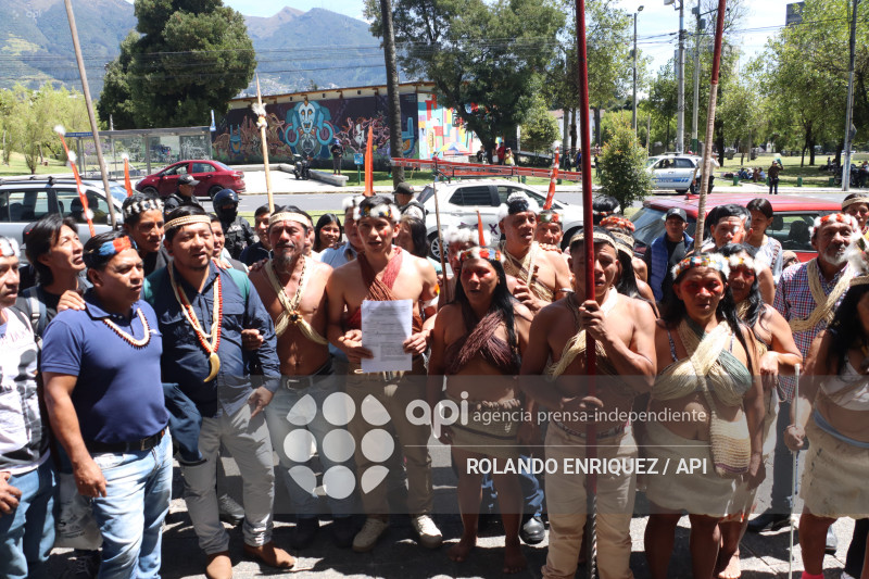 WAORANIS ACCION DE PROTECCION ELECCION PRESIDENTE