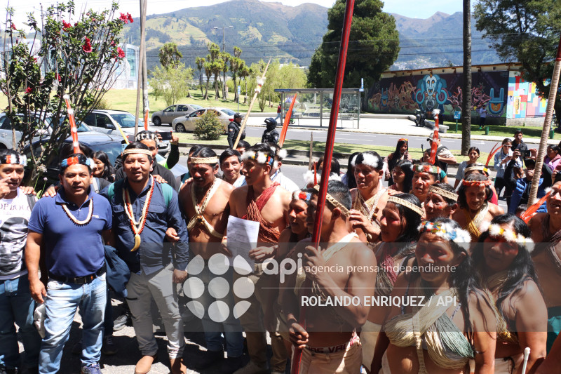 WAORANIS ACCION DE PROTECCION ELECCION PRESIDENTE