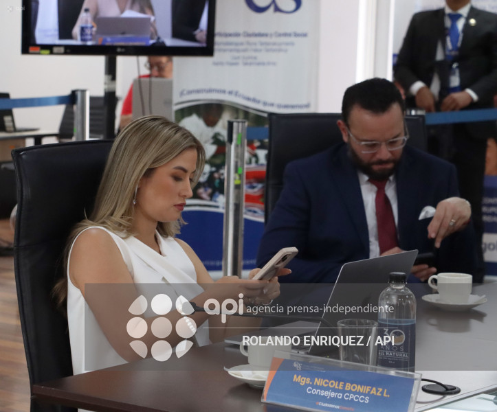 REUNION PLENO DEL CPCCS