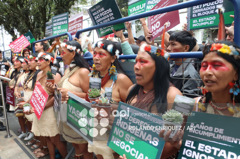 WAORANIS EN LA  CORTE CONSTITUCIONAL POR EL  YASUNI