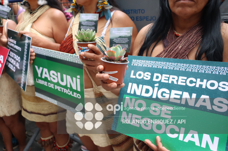 WAORANIS EN LA  CORTE CONSTITUCIONAL POR EL  YASUNI