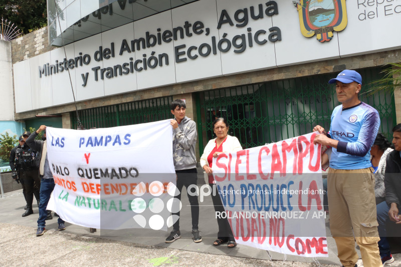 PLANTON COMUNEROS PALO QUEMADO