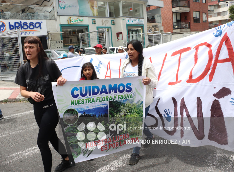PLANTON COMUNEROS PALO QUEMADO