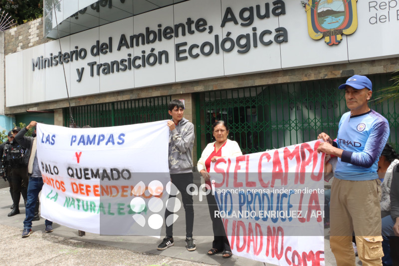 PLANTON COMUNEROS PALO QUEMADO