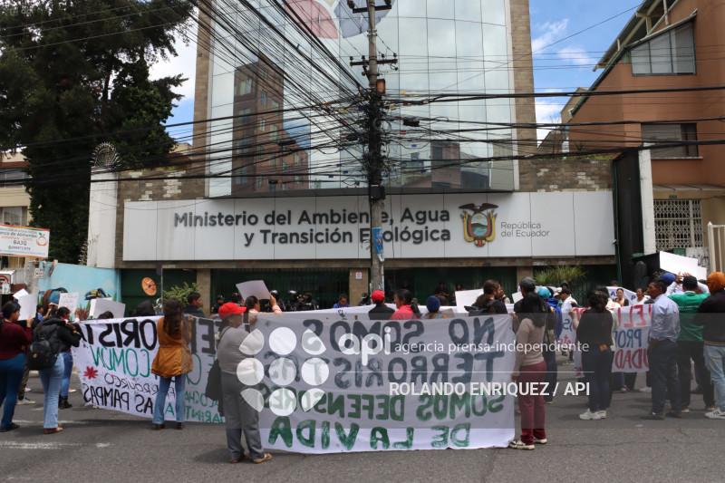 PLANTON COMUNEROS PALO QUEMADO