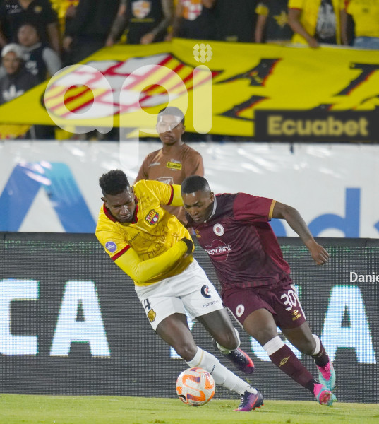 FBL LIGAPRO VINO TINTO BARCELONA