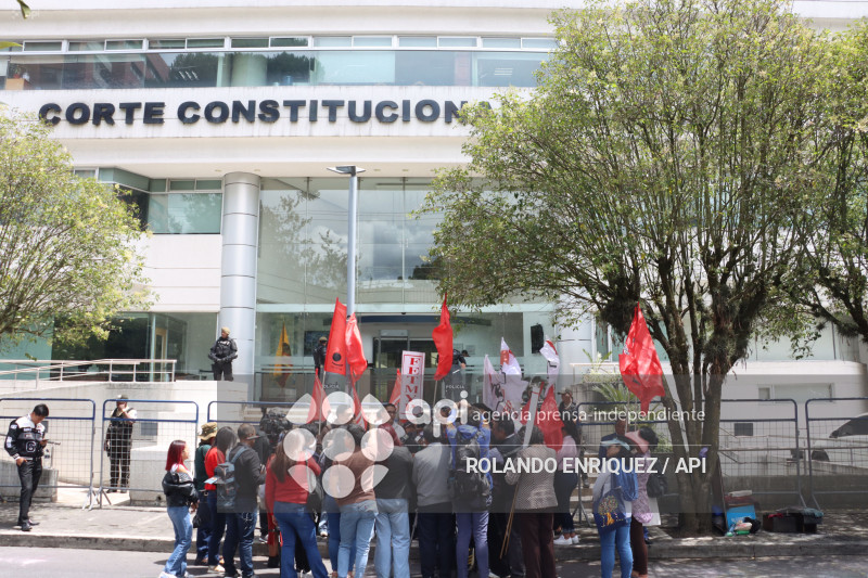 CORTE CONSTITUCIONAL AUDIENCIAS CONTRA LA LEY DE SOLIDARIDAD