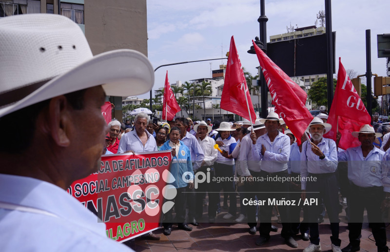 GYE-MARCHA SEGURO CAMPESINO