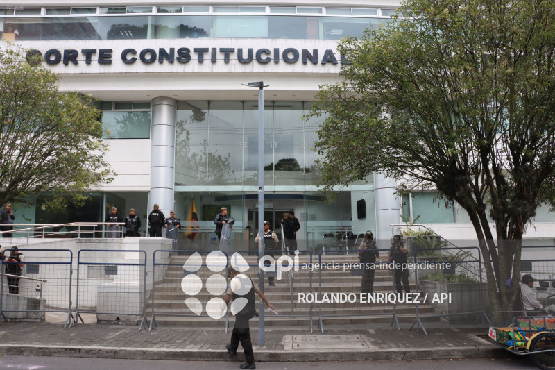 CORTE CONSTITUCIONAL AUDIENCIAS CONTRA LA LEY DE SOLIDARIDAD