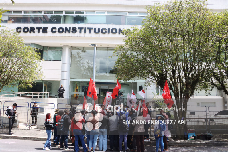 CORTE CONSTITUCIONAL AUDIENCIAS CONTRA LA LEY DE SOLIDARIDAD
