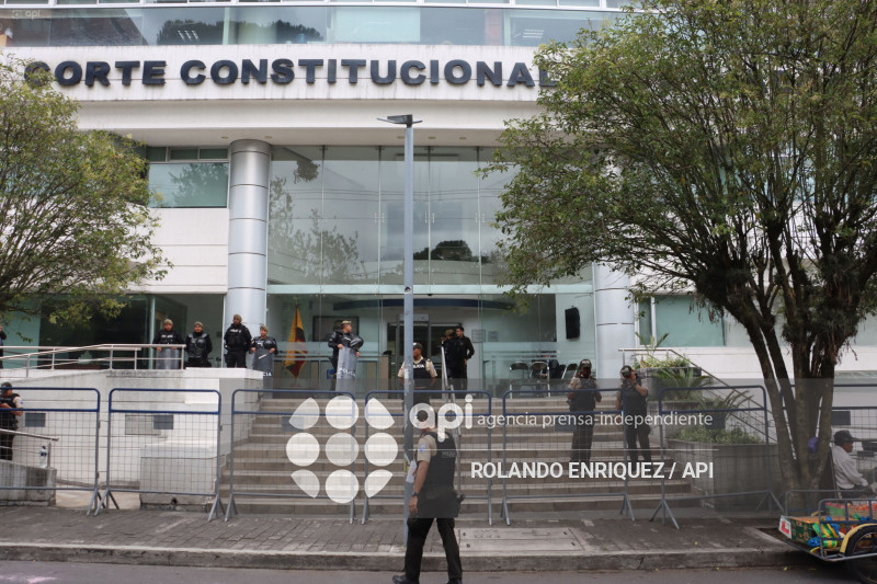 CORTE CONSTITUCIONAL AUDIENCIAS CONTRA LA LEY DE SOLIDARIDAD