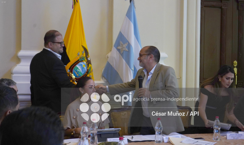 GYE-SESION CONSEJO SEGURIDAD