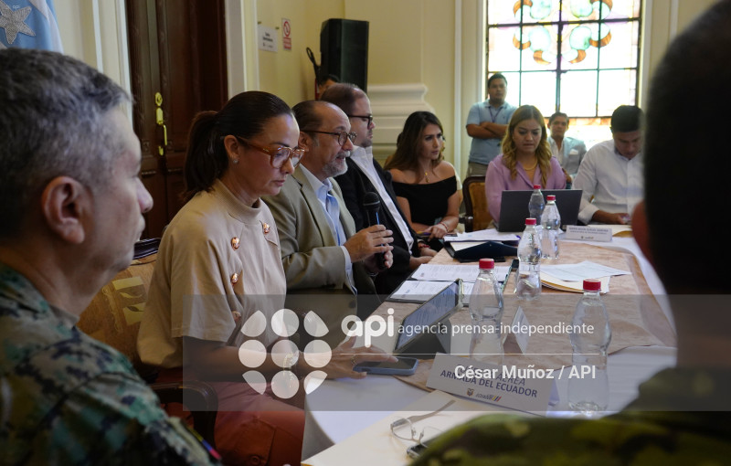 GYE-SESION CONSEJO SEGURIDAD