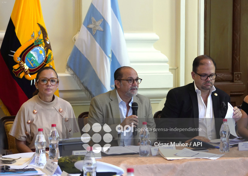 GYE-SESION CONSEJO SEGURIDAD