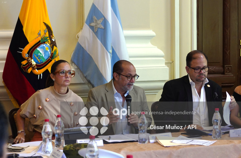 GYE-SESION CONSEJO SEGURIDAD