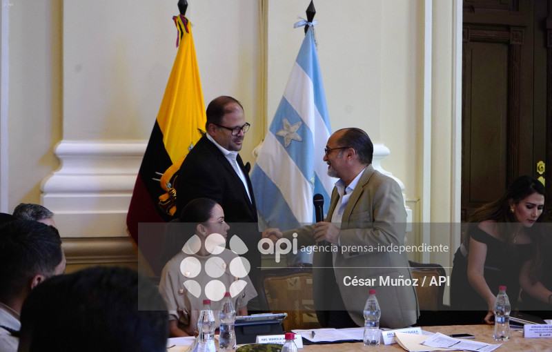 GYE-SESION CONSEJO SEGURIDAD