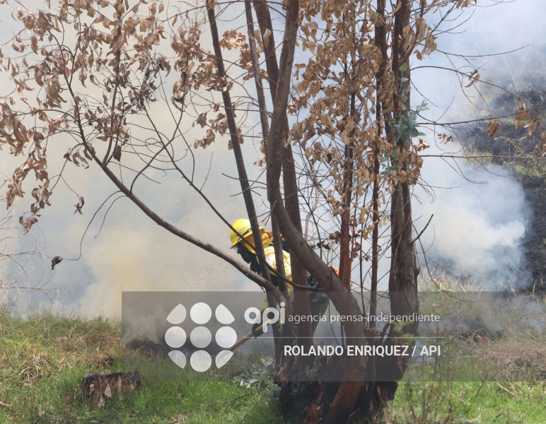 INCENDIO VALLE DE LOS CHILLOS