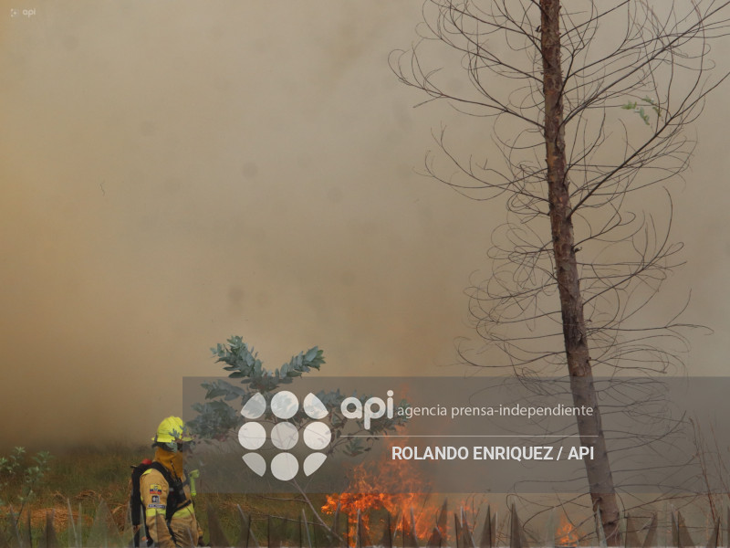 INCENDIO VALLE DE LOS CHILLOS