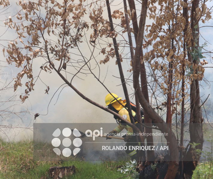 INCENDIO VALLE DE LOS CHILLOS