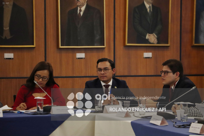 FISCALIZACION JUICIO POLITICO DE GONZALO ALBAN