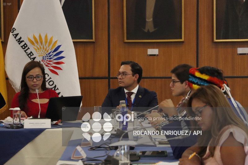 FISCALIZACION JUICIO POLITICO DE GONZALO ALBAN