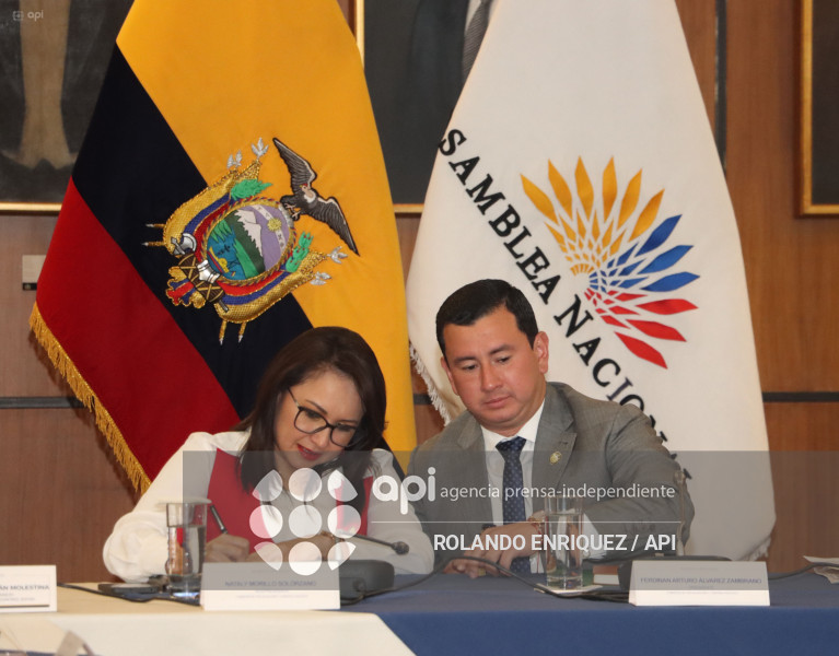 FISCALIZACION JUICIO POLITICO DE GONZALO ALBAN