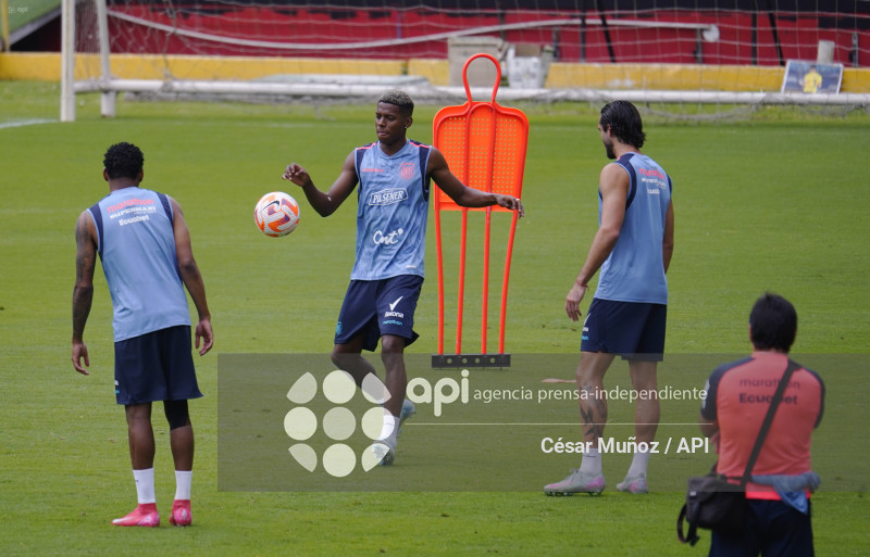 FBL-ENTRENAMIENTO TRICOLOR