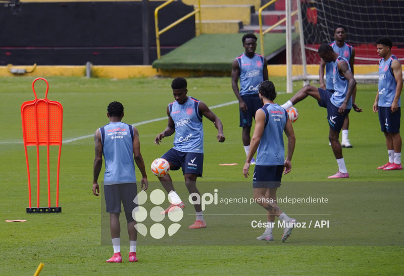 FBL-ENTRENAMIENTO TRICOLOR