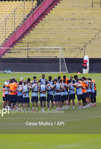 FBL-ENTRENAMIENTO TRICOLOR