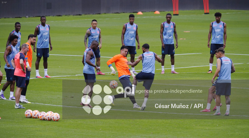 FBL-ENTRENAMIENTO TRICOLOR