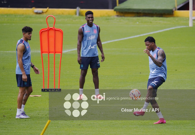 FBL-ENTRENAMIENTO TRICOLOR