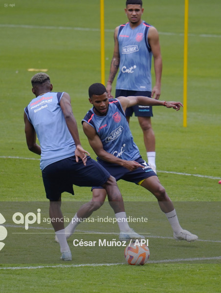 FBL-ENTRENAMIENTO TRICOLOR