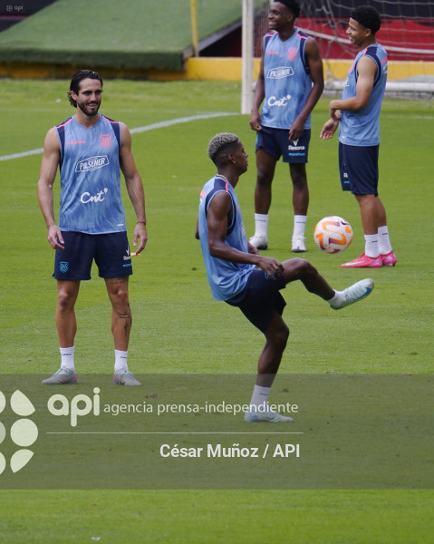 FBL-ENTRENAMIENTO TRICOLOR