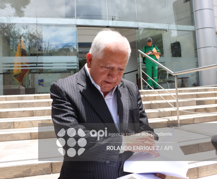 HENRY LLANES DEMANDA DE INCONSTITUCIONALIDAD