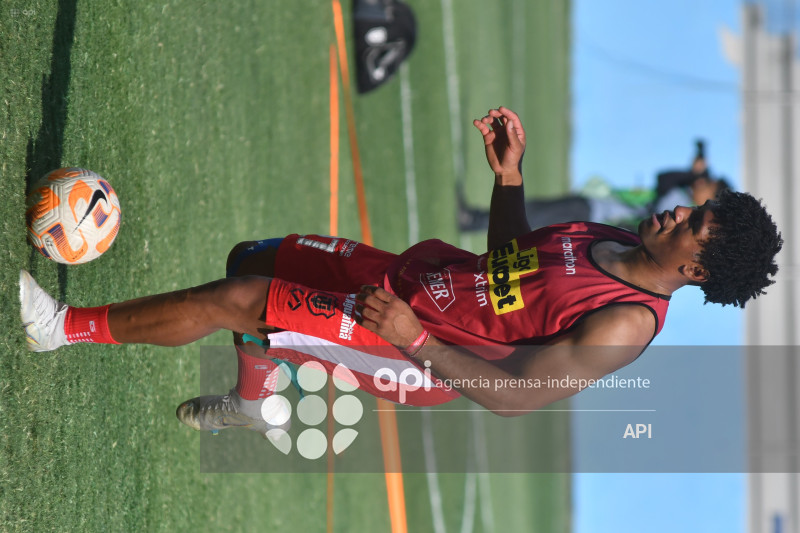 FBL-LIGA ECUABET-DELFIN-TECNICO