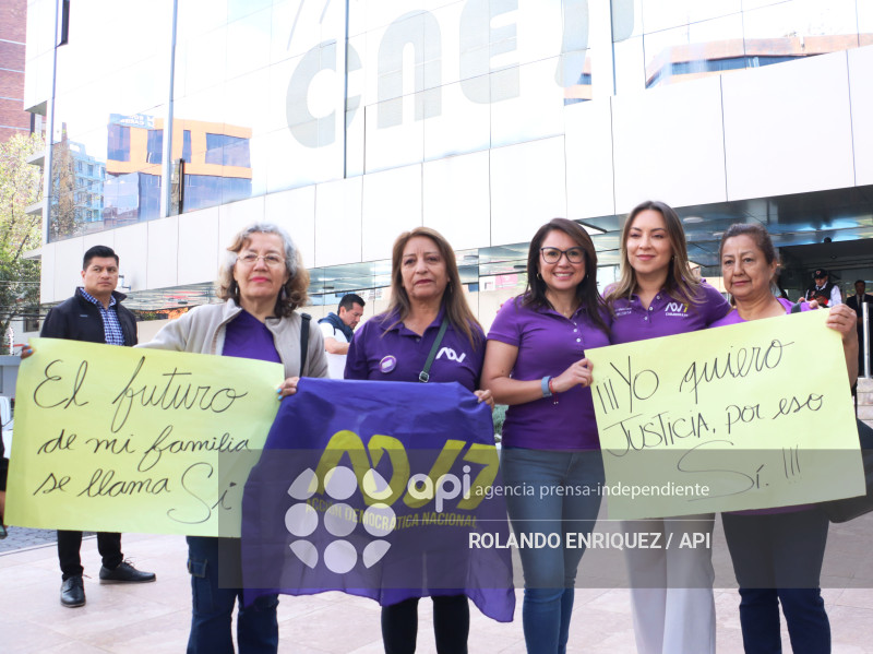 ADN INSCRIPCION CNE APOYO AL SI EN LA CONSULTA