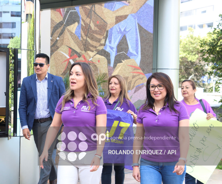 ADN INSCRIPCION CNE APOYO AL SI EN LA CONSULTA