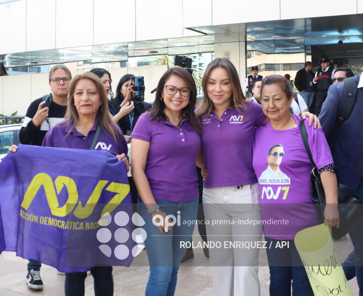 ADN INSCRIPCION CNE APOYO AL SI EN LA CONSULTA