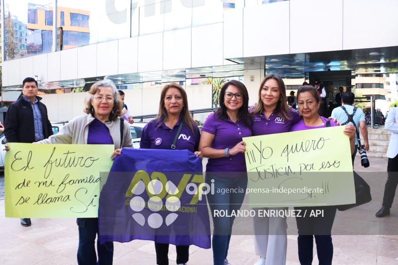 ADN INSCRIPCION CNE APOYO AL SI EN LA CONSULTA