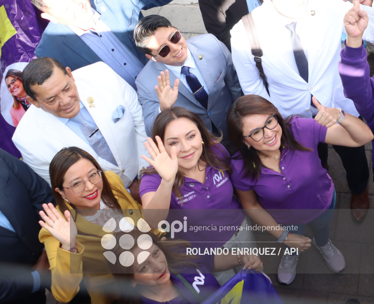 ADN INSCRIPCION CNE APOYO AL SI EN LA CONSULTA