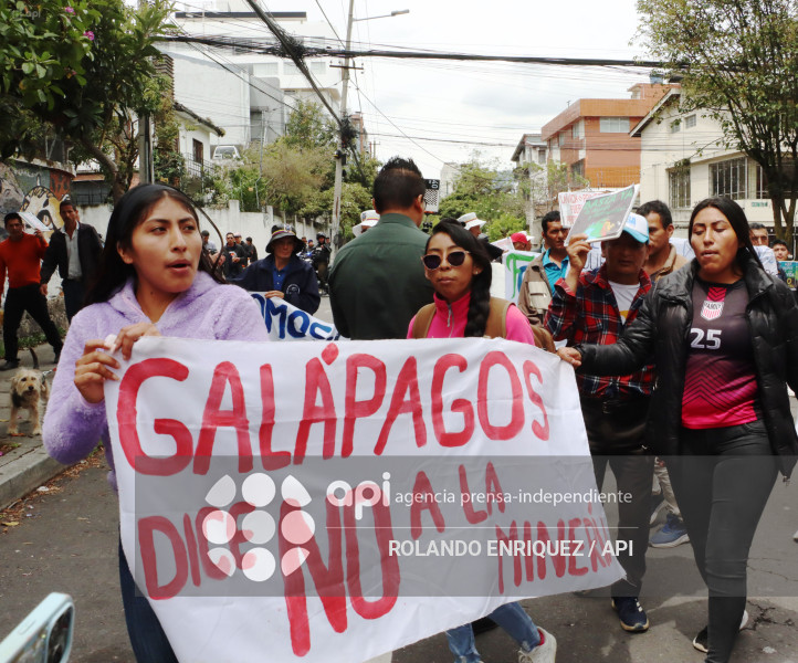 COMUNEROS PALO QUEMADO CORTE CONSTITUCIONAL