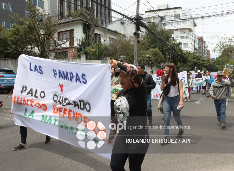 COMUNEROS PALO QUEMADO CORTE CONSTITUCIONAL
