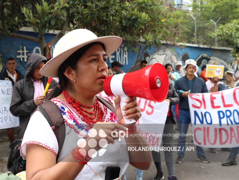 COMUNEROS PALO QUEMADO CORTE CONSTITUCIONAL