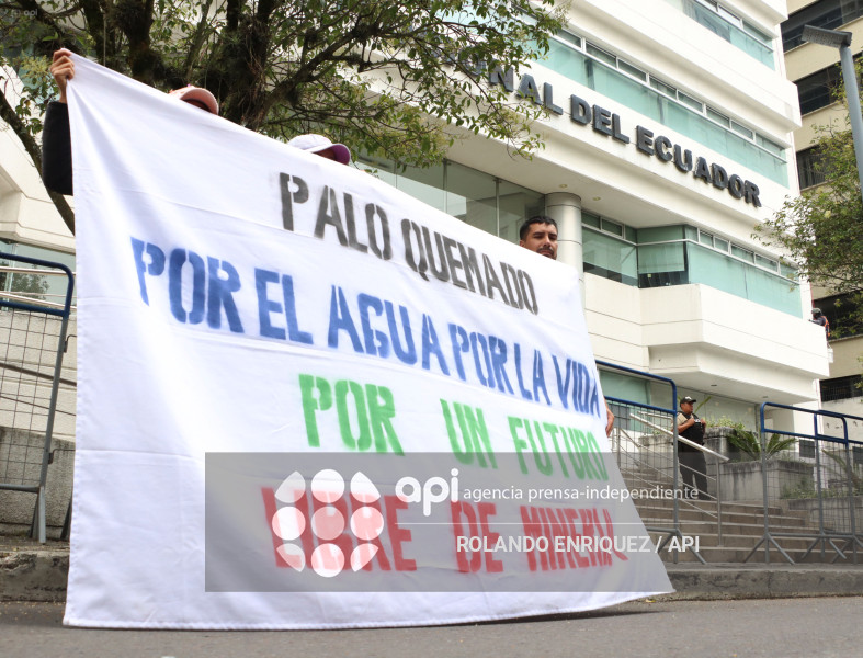 COMUNEROS PALO QUEMADO CORTE CONSTITUCIONAL