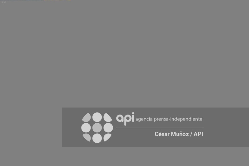 GYE-DESFILE ALEGORICO