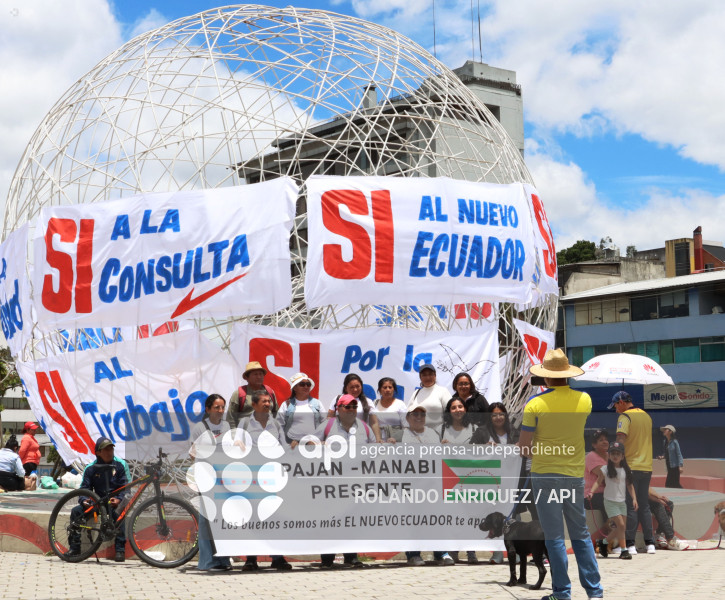 SIMPATIZANTES NOBOA ARBOLITO