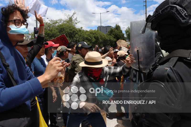 PROTESTA CONTRA NOBOA ARBOLITO