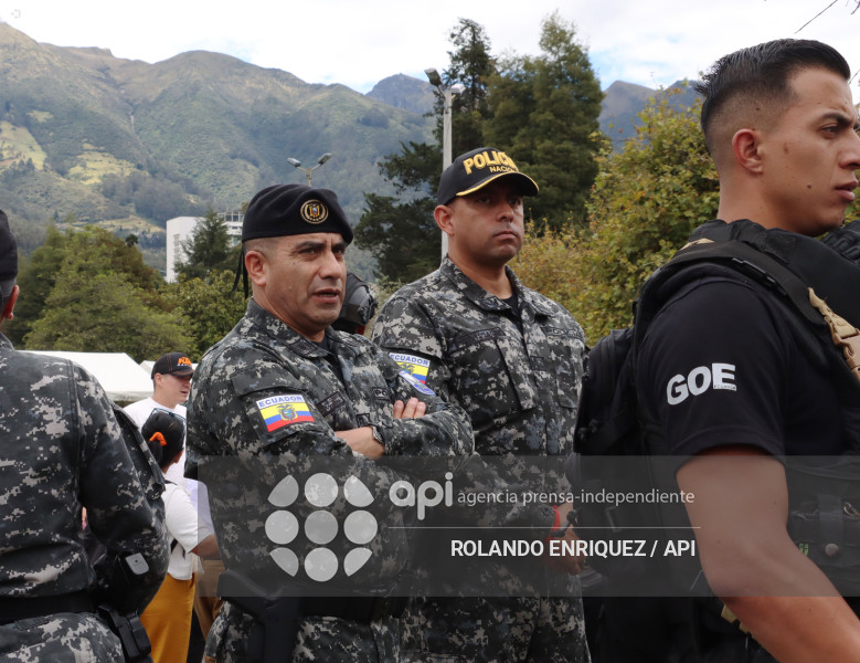 SIMPATIZANTES NOBOA ARBOLITO